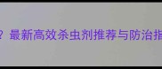 柑桔黄龙病怎么治最新高效杀虫剂推荐与防治指南附产品清单