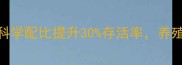 海大泥鳅饲料配方科学配比提升30存活率养殖户必看高效养殖指南