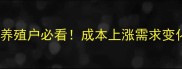 开封鸡蛋价格波动全养殖户必看成本上涨需求变化未来趋势一网打尽