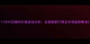 11月24日猪肉价格波动分析全国最新行情及市场趋势解读
