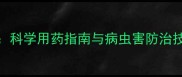 信发农药360全流程解决方案科学用药指南与病虫害防治技巧助力绿色农业高效发展