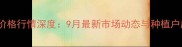 宝坻玉米价格行情深度9月最新市场动态与种植户应对策略