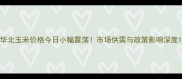 华北玉米价格今日小幅震荡市场供需与政策影响深度