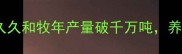 山东饲料巨头曝光久久和牧年产量破千万吨养殖户必看行业新趋势