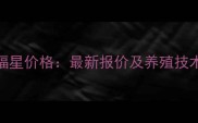 蛋鸡福星价格最新报价及养殖技术指南