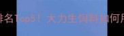 云南饲料品牌排名Top5大力生饲料如何用技术降本30