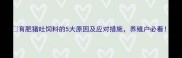 育肥猪吐饲料的5大原因及应对措施养殖户必看
