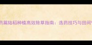 科学用药篇陆稻种植高效除草指南选药技巧与田间管理全