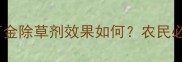 最新评测田万金除草剂效果如何农民必看的使用技巧