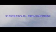 10月中国豆粕价格波动分析供需变化与市场趋势深度解读