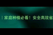 农药配比保姆级教程家庭种植必看安全高效省成本的5大黄金公式