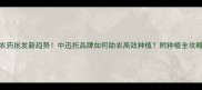 农药批发新趋势中迅托品牌如何助农高效种植附种植全攻略