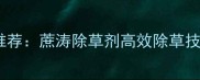 广西甘蔗种植推荐蔗涛除草剂高效除草技术与使用指南