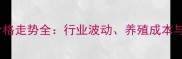 高龙饲料价格走势全行业波动养殖成本与市场预测