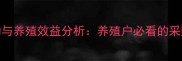 玉米饲料价格波动与养殖效益分析养殖户必看的采购策略与市场趋势
