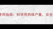 冬季茄子农药使用指南科学用药保产量安全食用的5大技巧