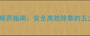水稻田除草剂科学施药指南安全高效除草的五大技巧与风险防控