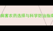 南方柑橘种植区必看柑橘病害农药选择与科学防治指南从选药到用药全流程