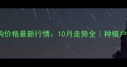 吉林玉米收购价格最新行情10月走势全种植户必看避坑指南