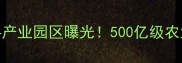 全国最大饲料产业园区曝光500亿级农业科技新标杆