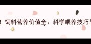 养殖户必看饲料营养价值全科学喂养技巧与省钱攻略