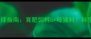 后备母猪饲料选择指南育肥饲料or母猪料科学喂养技巧大