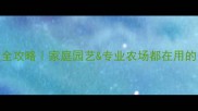 石榴种植防虫全攻略家庭园艺专业农场都在用的安全农药清单
