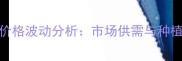 亳州干辣椒价格波动分析市场供需与种植户应对策略