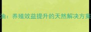 饲料复合植物精油养殖效益提升的天然解决方案附使用指南