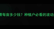 8月安徽玉米价格行情每亩多少钱种植户必看的波动趋势与收购价分析