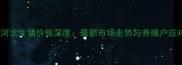 X月X日河北生猪价格深度最新市场走势与养殖户应对策略