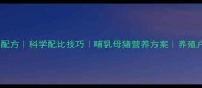 母猪饲料配方科学配比技巧哺乳母猪营养方案养殖户必看指南