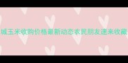 必看白城玉米收购价格最新动态农民朋友速来收藏附行情全