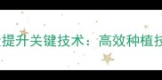 饲料玉米亩产量提升关键技术高效种植技术与增产案例