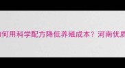 河南兔饲料厂家推荐如何用科学配方降低养殖成本河南优质兔饲料的三大核心优势