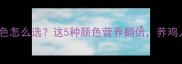 鸡饲料颜色怎么选这5种颜色营养翻倍养鸡人必看