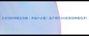 玉米饲料种植全攻略养殖户必看亩产提升30的高效种植技术