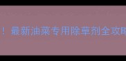 油菜田除草难题终结最新油菜专用除草剂全攻略附安全使用指南