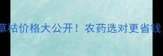 山东地区绿霸50与百草枯价格大公开农药选对更省钱附安全使用全攻略