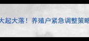 全国今日鸡蛋价格大起大落养殖户紧急调整策略这些行业将受影响