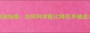 饲料配方与添加剂查询指南如何科学配比降低养殖成本提升动物健康