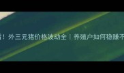 必看外三元猪价格波动全养殖户如何稳赚不赔