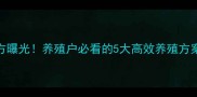 湖北巨星饲料最新配方曝光养殖户必看的5大高效养殖方案助你亩产增收30