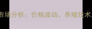 红龙鱼养殖市场分析价格波动养殖技术及未来趋势