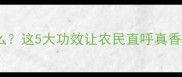农药蒜素是什么这5大功效让农民直呼真香附使用指南