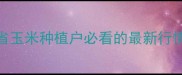 吉林玉米价格波动全吉林省玉米种植户必看的最新行情与种植建议附实时数据