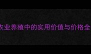 德国黑背犬在农业养殖中的实用价值与价格全最新饲养指南