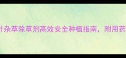 最新推荐双子叶杂草除草剂高效安全种植指南附用药技巧与注意事项