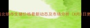 辽宁省北镇市生猪价格最新动态及市场分析X月X日更新