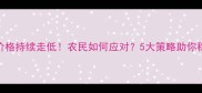 面粉价格持续走低农民如何应对5大策略助你稳赚不赔